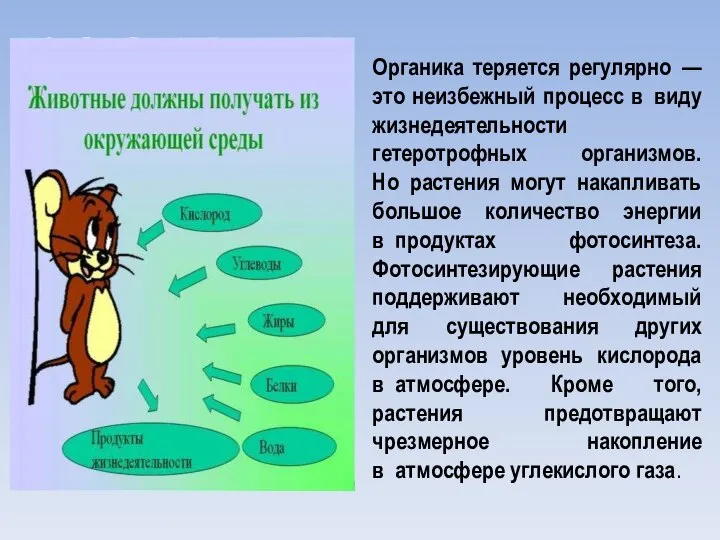 Органика теряется регулярно — это неизбежный процесс в виду жизнедеятельности гетеротрофных