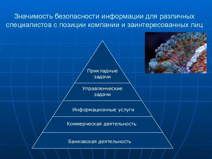 Значимость безопасности информации для различных специалистов с позиции компании и заинтересованных