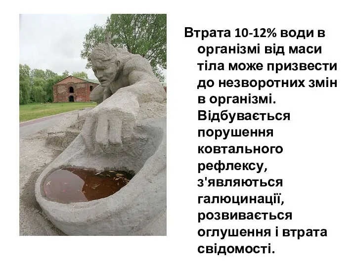 Втрата 10-12% води в організмі від маси тіла може призвести до