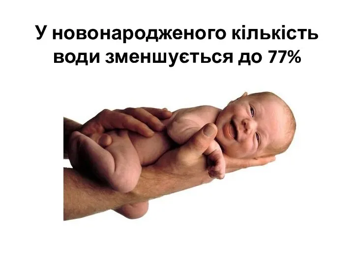 У новонародженого кількість води зменшується до 77%