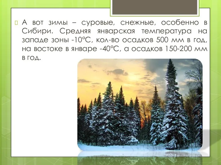 А вот зимы – суровые, снежные, особенно в Сибири. Средняя январская