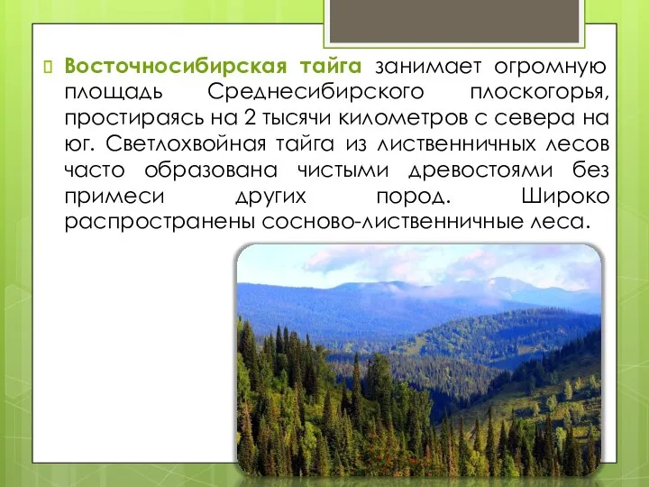 Восточносибирская тайга занимает огромную площадь Среднесибирского плоскогорья, простираясь на 2 тысячи