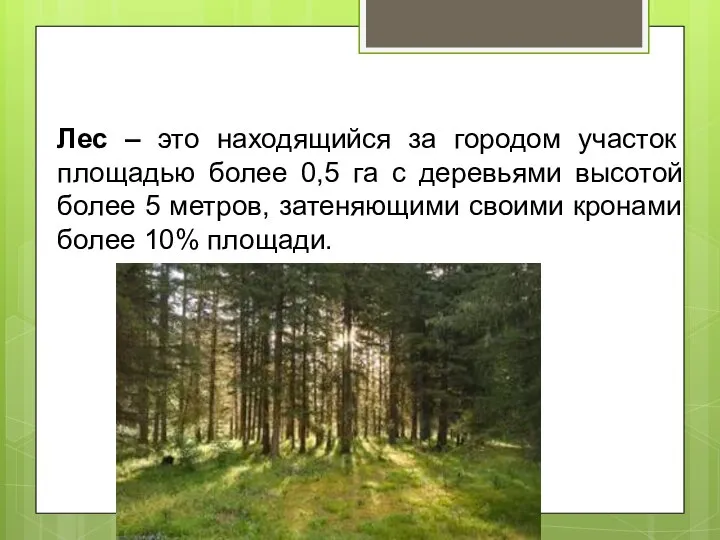 Лес – это находящийся за городом участок площадью более 0,5 га