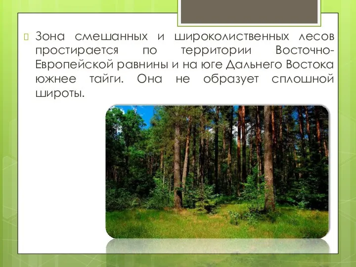 Зона смешанных и широколиственных лесов простирается по территории Восточно-Европейской равнины и