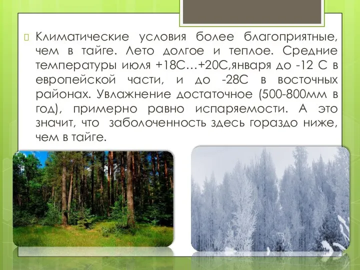 Климатические условия более благоприятные, чем в тайге. Лето долгое и теплое.