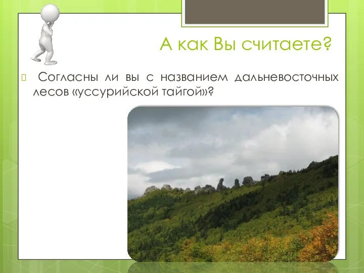 А как Вы считаете? Согласны ли вы с названием дальневосточных лесов «уссурийской тайгой»?