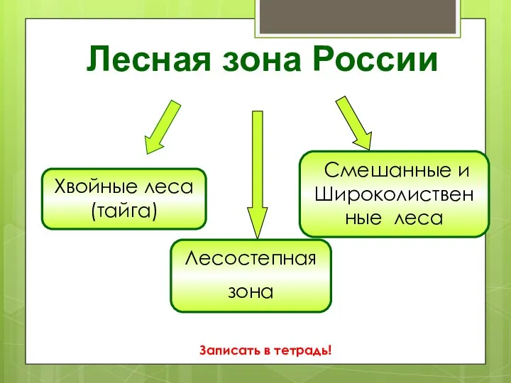 Лесная зона России Хвойные леса (тайга) Смешанные и Широколиственные леса Лесостепная зона Записать в тетрадь!