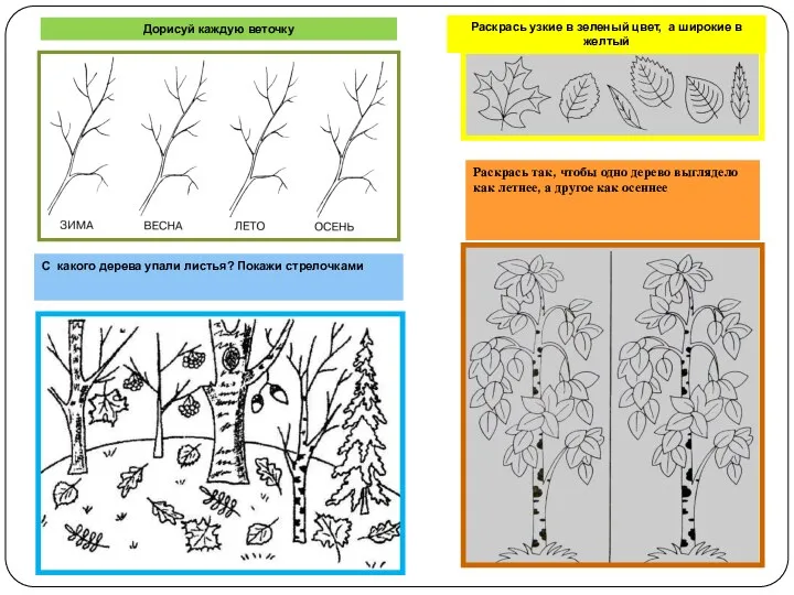 Дорисуй каждую веточку Раскрась узкие в зеленый цвет, а широкие в