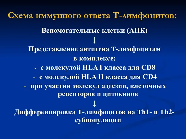 Схема иммунного ответа Т-лимфоцитов: Вспомогательные клетки (АПК) ↓ Представление антигена Т-лимфоцитам