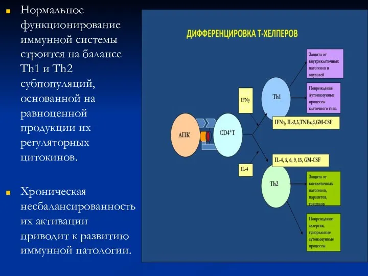 Нормальное функционирование иммунной системы строится на балансе Th1 и Th2 субпопуляций,