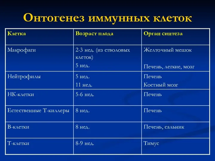 Онтогенез иммунных клеток