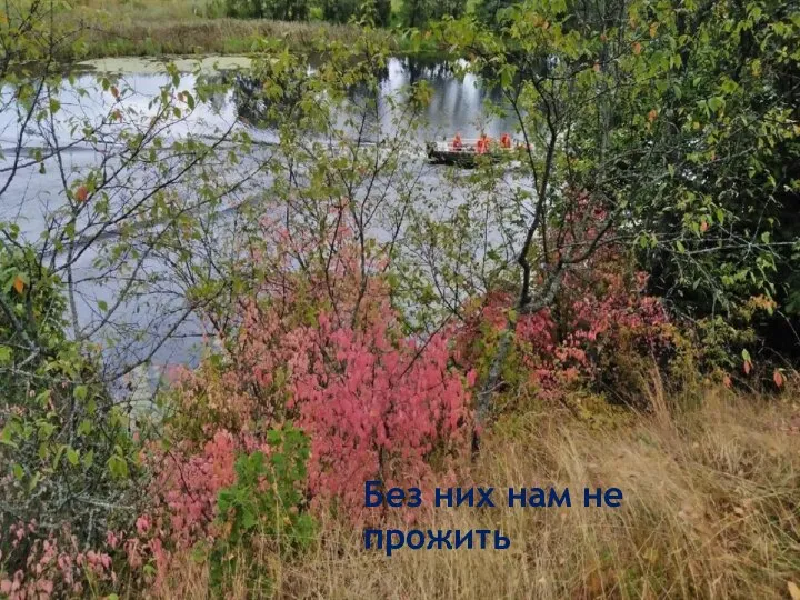 Без них нам не прожить