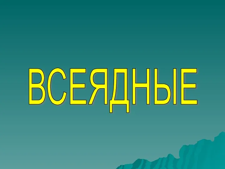 ВСЕЯДНЫЕ