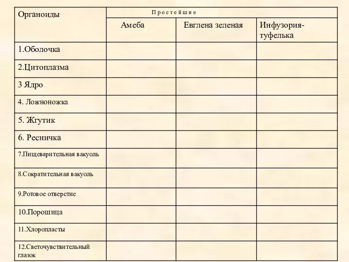 « Сходство и различие простейших»