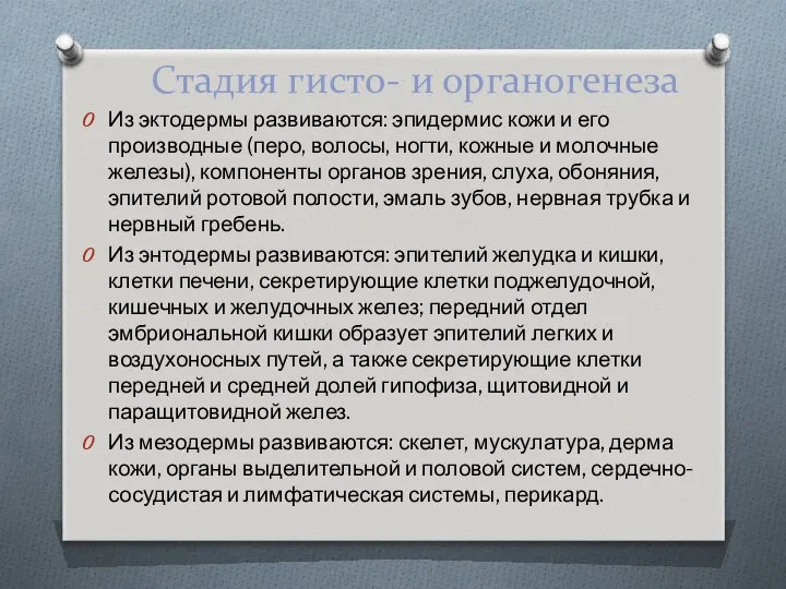 Стадия гисто- и органогенеза Из эктодермы развиваются: эпидермис кожи и его