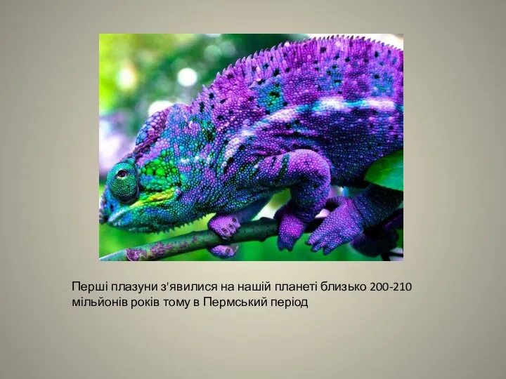 Перші плазуни з'явилися на нашій планеті близько 200-210 мільйонів років тому в Пермський період