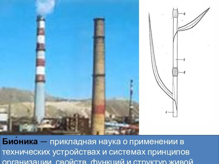 Био́ника — прикладная наука о применении в технических устройствах и системах