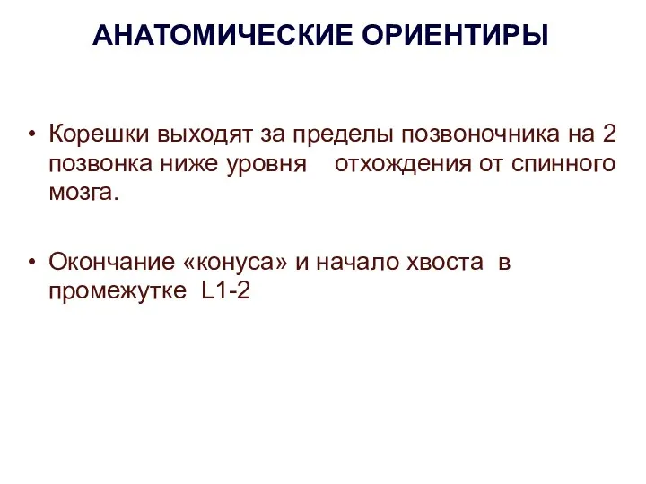 АНАТОМИЧЕСКИЕ ОРИЕНТИРЫ Корешки выходят за пределы позвоночника на 2 позвонка ниже