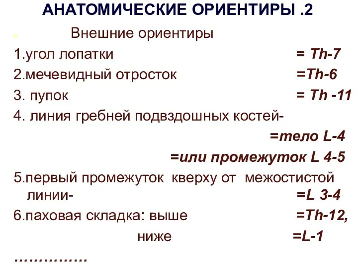 АНАТОМИЧЕСКИЕ ОРИЕНТИРЫ .2 Внешние ориентиры 1.угол лопатки = Тh-7 2.мечевидный отросток