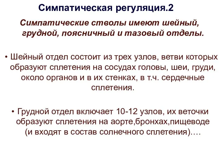 Симпатическая регуляция.2 Симпатические стволы имеют шейный, грудной, поясничный и тазовый отделы.