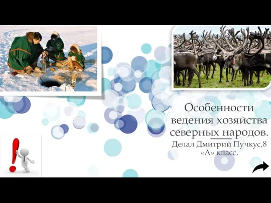 Особенности ведения хозяйства северных народов. Делал Дмитрий Пучкус,8 «А» класс.