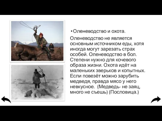 Оленеводство и охота. Оленеводство не является основным источником еды, хотя иногда