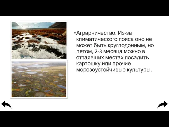 Аграрничество. Из-за климатического пояса оно не может быть круглодонным, но летом,