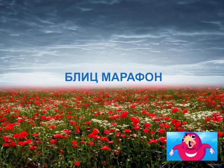 БЛИЦ МАРАФОН