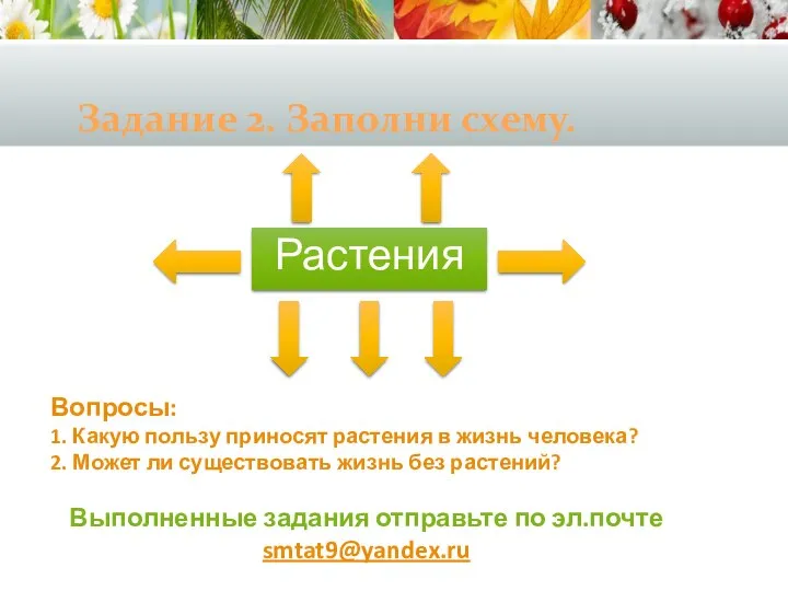 Задание 2. Заполни схему. Растения Вопросы: 1. Какую пользу приносят растения