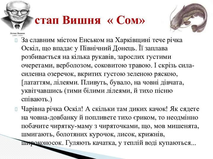 За славним містом Енськом на Харківщині тече річка Оскіл, що впадає