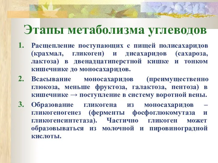 Этапы метаболизма углеводов Расщепление поступающих с пищей полисахаридов (крахмал, гликоген) и