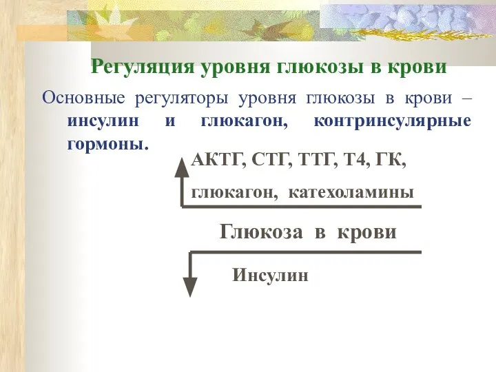 Регуляция уровня глюкозы в крови Основные регуляторы уровня глюкозы в крови