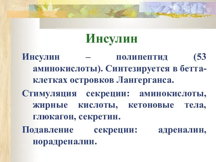 Инсулин Инсулин – полипептид (53 аминокислоты). Синтезируется в бетта-клетках островков Лангерганса.