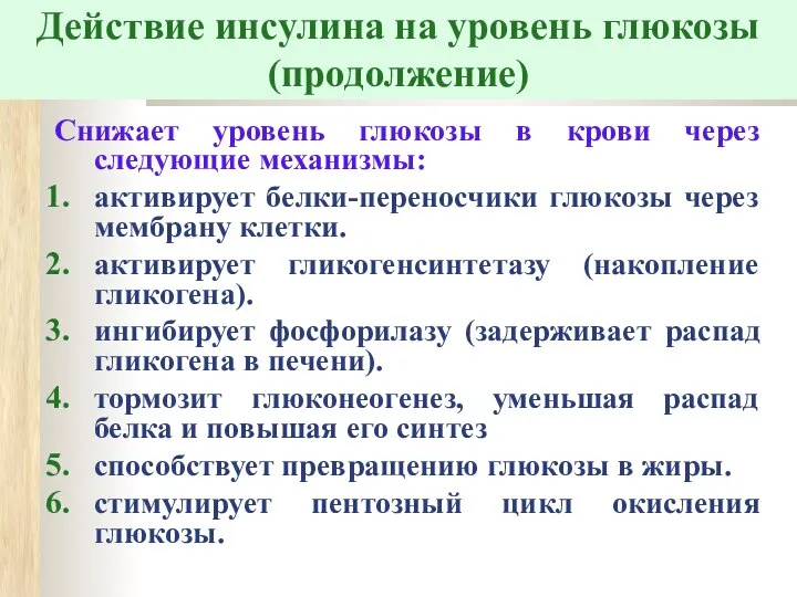 Действие инсулина на уровень глюкозы (продолжение) Снижает уровень глюкозы в крови