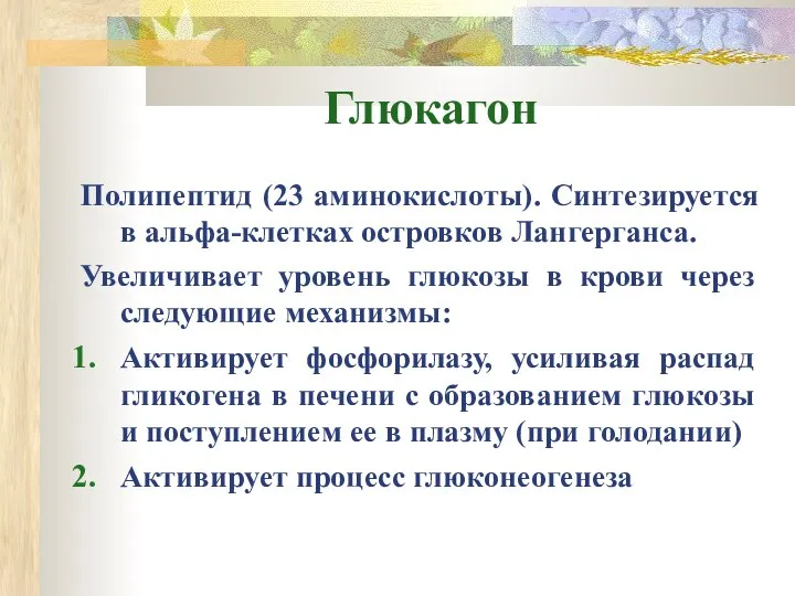 Глюкагон Полипептид (23 аминокислоты). Синтезируется в альфа-клетках островков Лангерганса. Увеличивает уровень