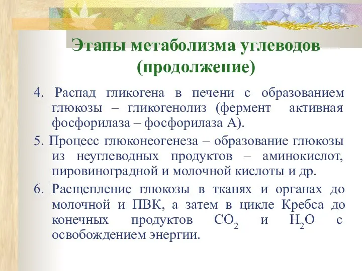 Этапы метаболизма углеводов (продолжение) 4. Распад гликогена в печени с образованием