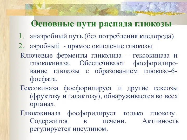 Основные пути распада глюкозы анаэробный путь (без потребления кислорода) аэробный -