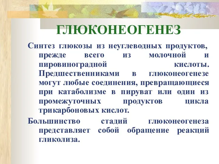 ГЛЮКОНЕОГЕНЕЗ Синтез глюкозы из неуглеводных продуктов, прежде всего из молочной и