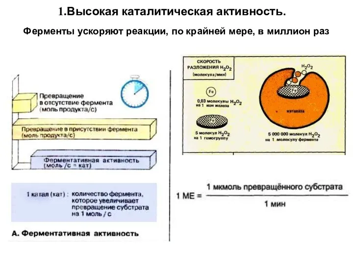 Высокая каталитическая активность. Ферменты ускоряют реакции, по крайней мере, в миллион раз