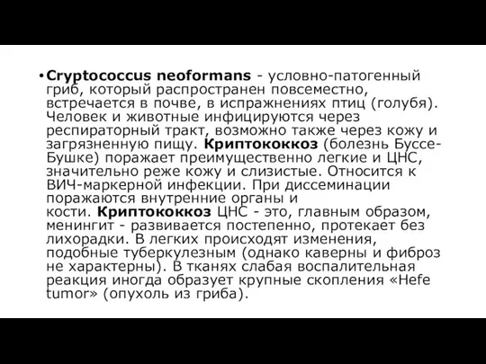 Cryptococcus neoformans - условно-патогенный гриб, который распространен повсеместно, встречается в почве,