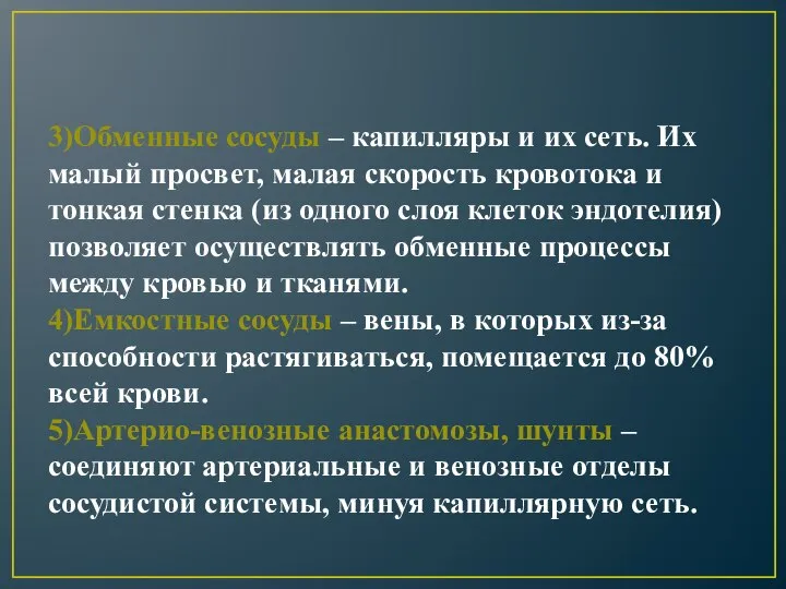 3)Обменные сосуды – капилляры и их сеть. Их малый просвет, малая