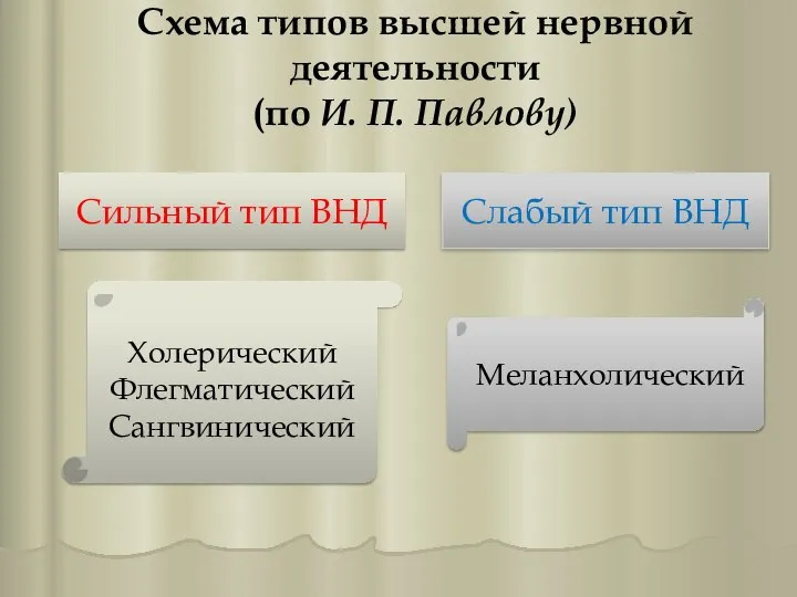 Схема типов высшей нервной деятельности (по И. П. Павлову) Сильный тип