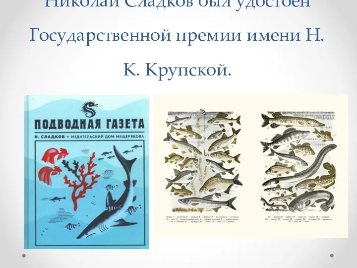 За книгу «Подводная газета» Николай Сладков был удостоен Государственной премии имени Н. К. Крупской.