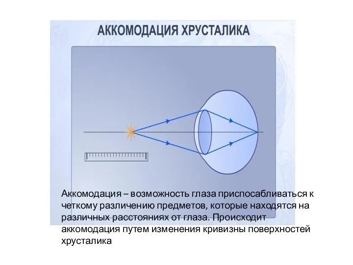 Аккомодация – возможность глаза приспосабливаться к четкому различению предметов, которые находятся