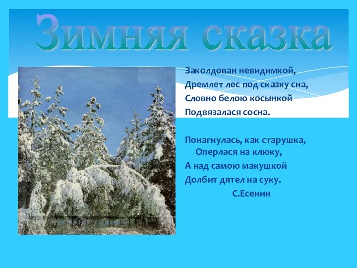 Заколдован невидимкой, Дремлет лес под сказку сна, Словно белою косынкой Подвязалася