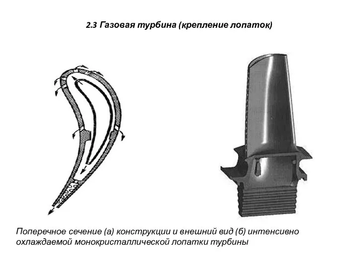 2.3 Газовая турбина (крепление лопаток) Поперечное сечение (а) конструкции и внешний