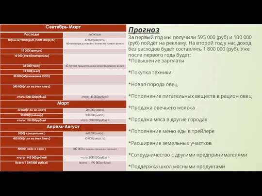 Прогноз За первый год мы получили 595 000 (руб) и 100