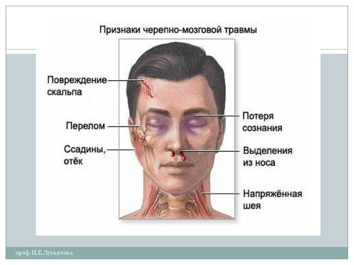 проф.И.Е.Лукьянова