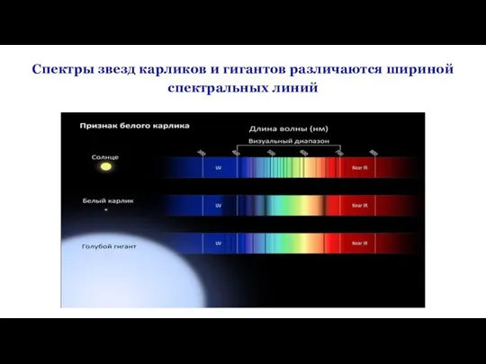 Спектры звезд карликов и гигантов различаются шириной спектральных линий