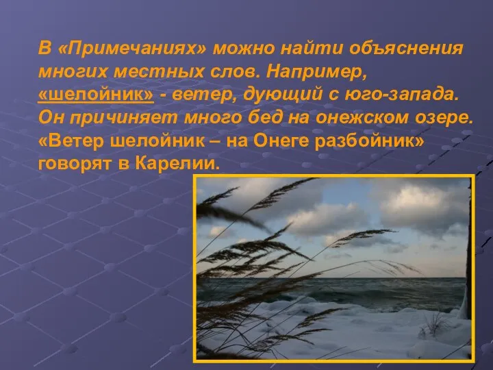 В «Примечаниях» можно найти объяснения многих местных слов. Например, «шелойник» -